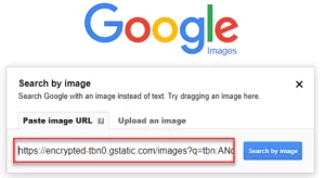 Google Image Search