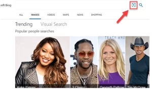 Bing Image Search